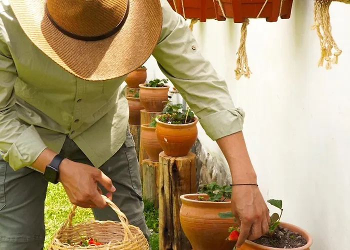 Casa vacanze Inca Allpa Home